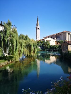 WhatsApp Image 2025-03-12 at 15.52.16 (1)