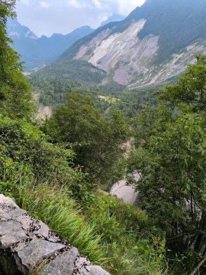 WhatsApp Image 2025-07-23 at 19.46.40