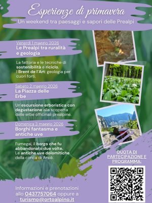 WhatsApp Image 2026-04-11 at 10.16.53